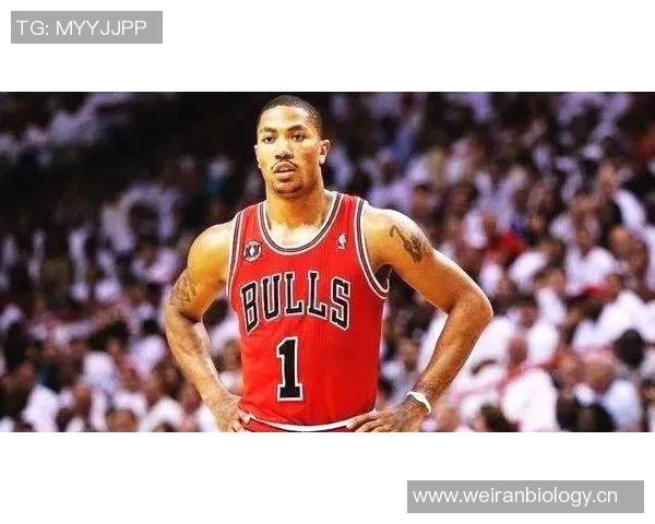 膝伤击碎四冠梦!约基奇退出MVP争夺,SGA成最大赢家,东契奇文班虎视眈眈 膝伤击碎四冠梦!约基奇退出MVP争夺,SGA成最大赢家,东契奇文班虎视眈眈